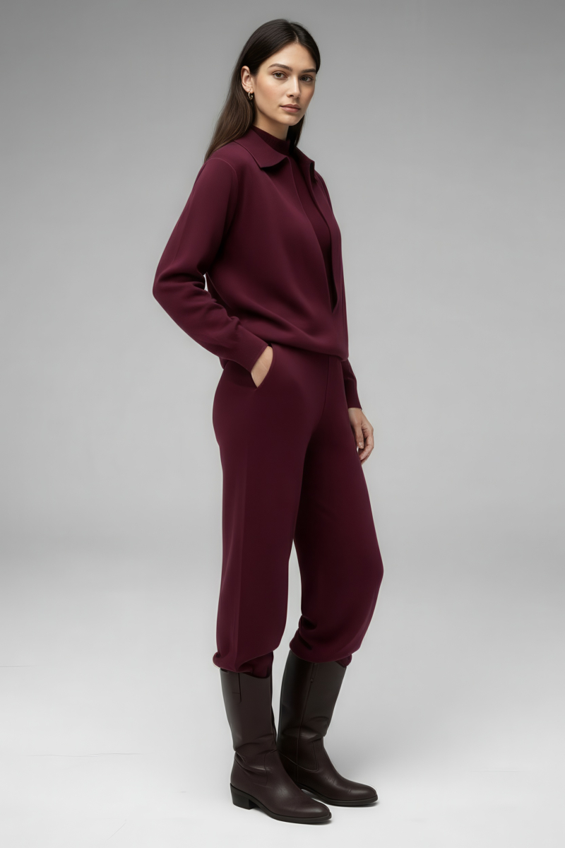 Джемпер трикотажный SAGAS, цвет: Бордовый, 260108 купить онлайн