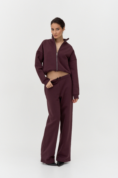 Толстовка на молнии утепленная Ricoco, цвет: сливовый, 6097/3 купить онлайн Толстовка на молнии утепленная Ricoco, цвет: сливовый, 6097/3 купить онлайн