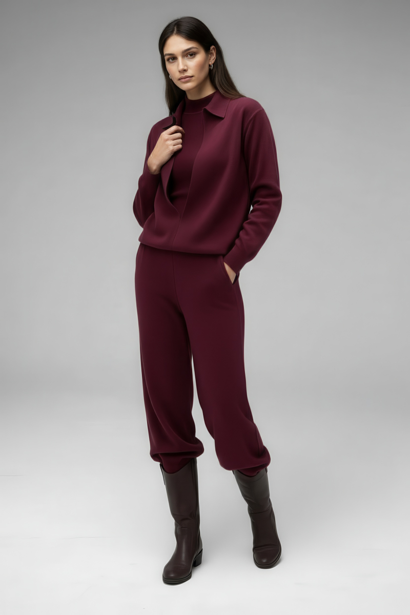 Джемпер трикотажный SAGAS, цвет: Бордовый, 260108 купить онлайн