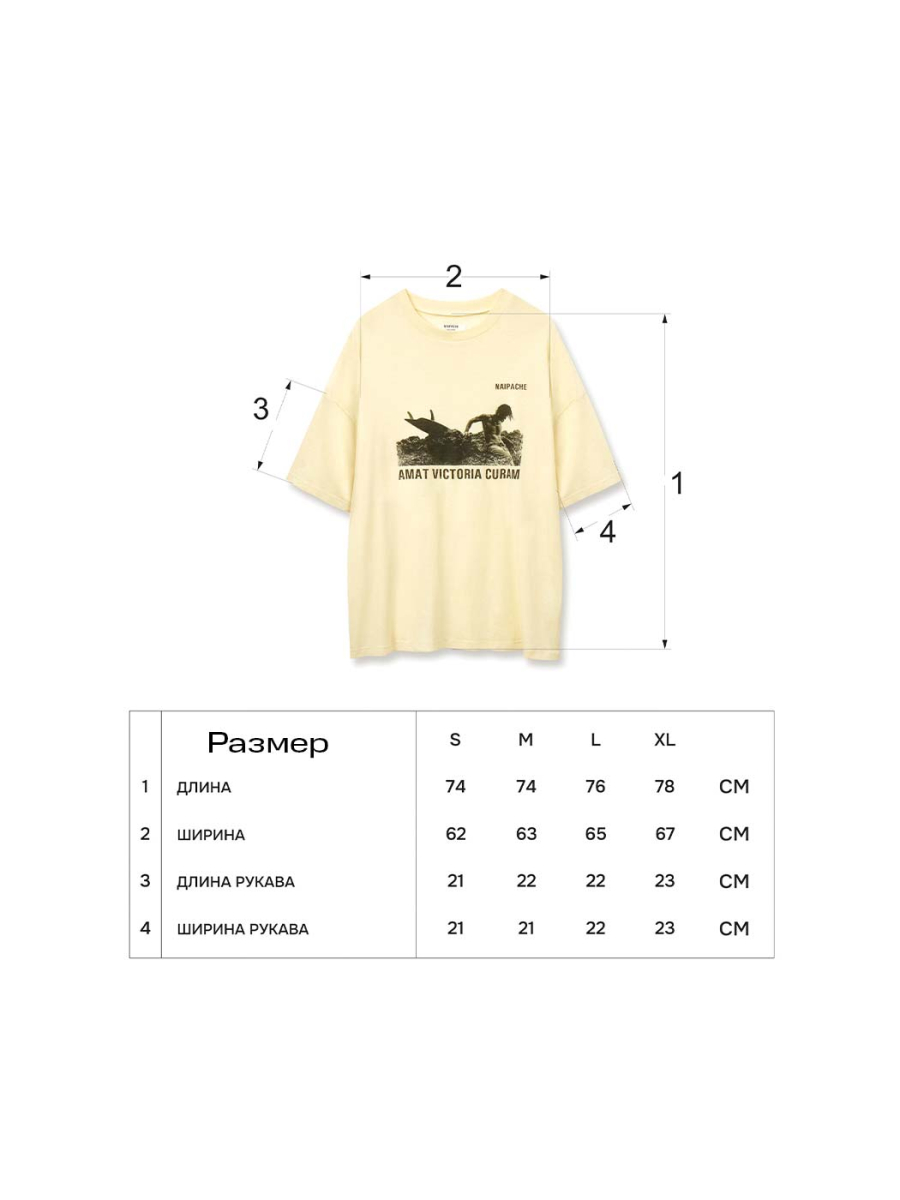 Футболка Винтаж с принтом NAIPACHE, цвет: бежевый, 2511062050 купить онлайн