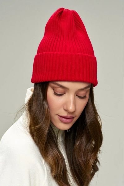 Шапка Бини Merino Erist store, цвет: красный НФ-00000531 купить онлайн Шапка Бини Merino Erist store, цвет: красный НФ-00000531 купить онлайн