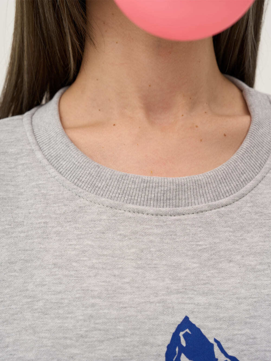 Свитшот с начесом ONSI, цвет: серый,  купить онлайн