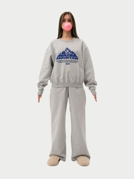 Свитшот с начесом ONSI, цвет: серый,  купить онлайн