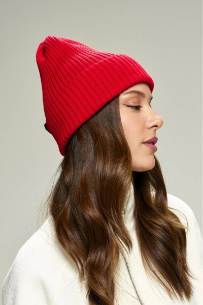 Шапка Бини Merino Erist store, цвет: красный НФ-00000531 купить онлайн Шапка Бини Merino Erist store, цвет: красный НФ-00000531 купить онлайн