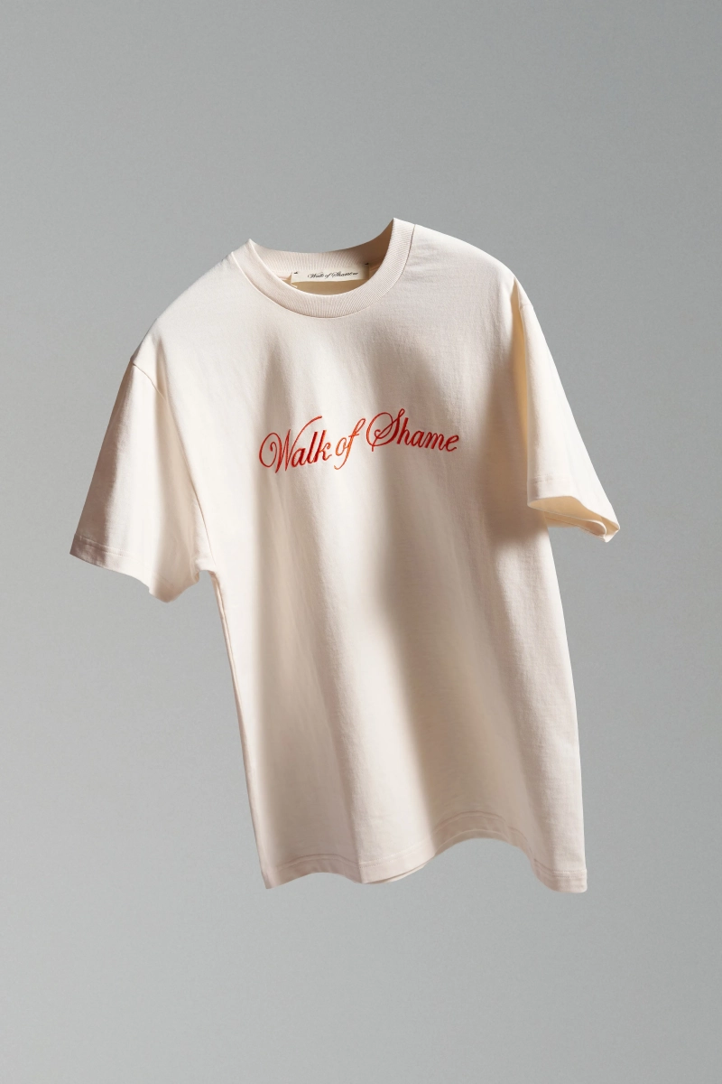 Плотная футболка с вышивкой WALK OF SHAME, цвет: белый, TSH021 купить онлайн