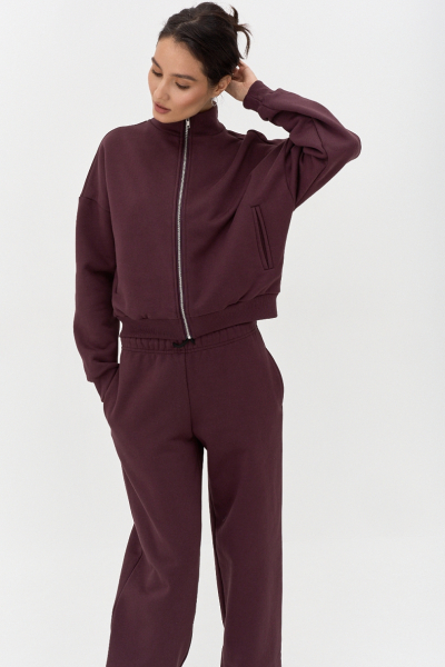 Толстовка на молнии утепленная Ricoco, цвет: сливовый, 6097/3 купить онлайн Толстовка на молнии утепленная Ricoco, цвет: сливовый, 6097/3 купить онлайн