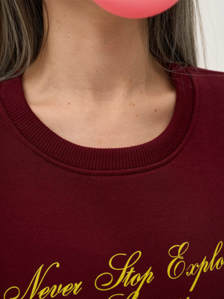 Свитшот с начесом ONSI, цвет: Бордовый,  купить онлайн