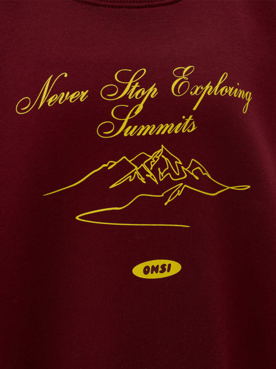 Свитшот с начесом ONSI, цвет: Бордовый,  купить онлайн