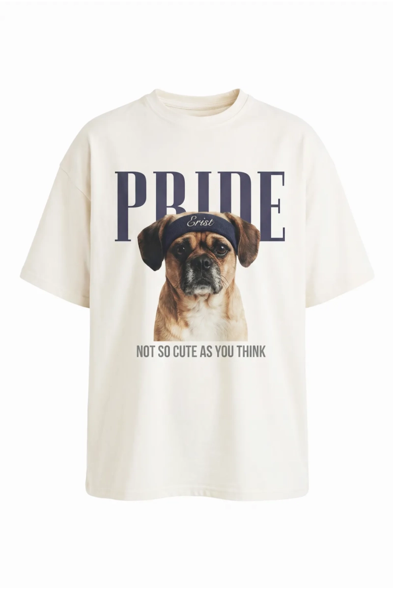 Футболка с принтом Erist store, цвет: белый, НФ-00003217 купить онлайн