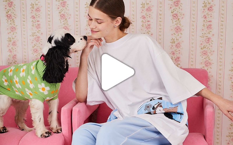 Собаки на диване