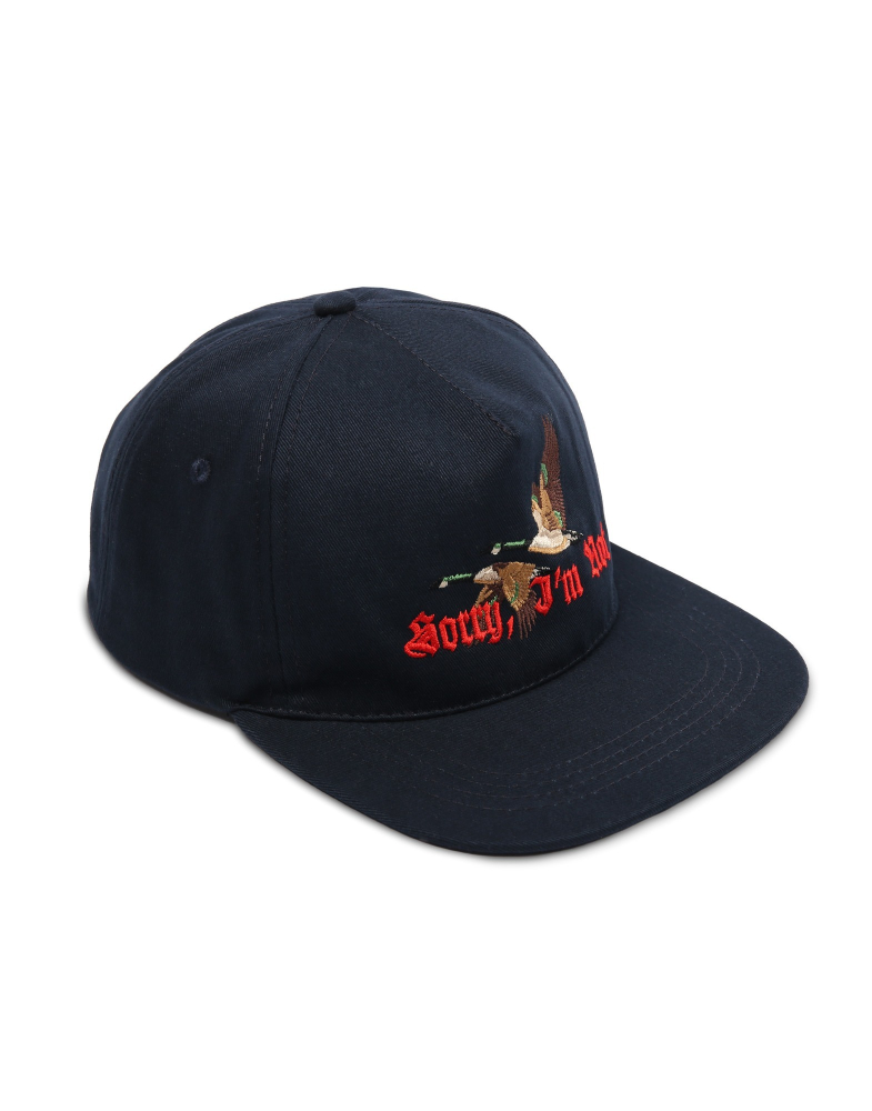 Кепка SNAPBACK WILD DUCKS