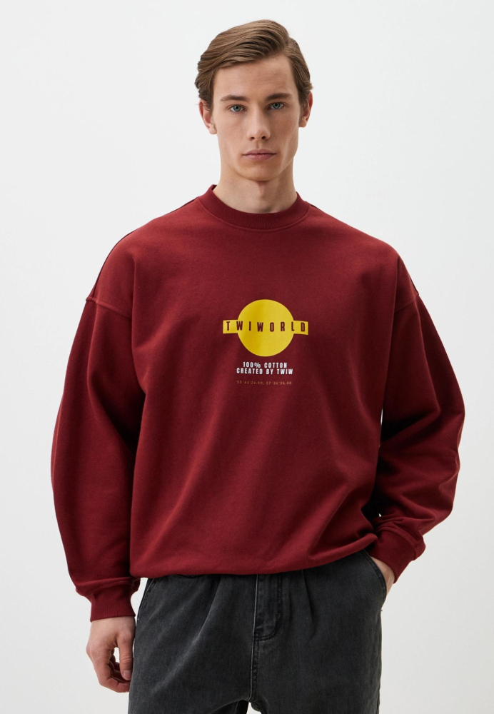 Толстовка Twiworld