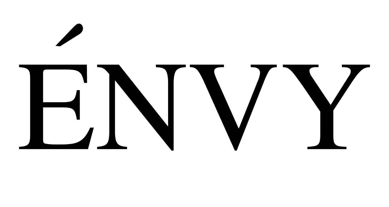 ENVY Одежда и аксессуары, купить онлайн, ENVY в универмаге Bolshoy