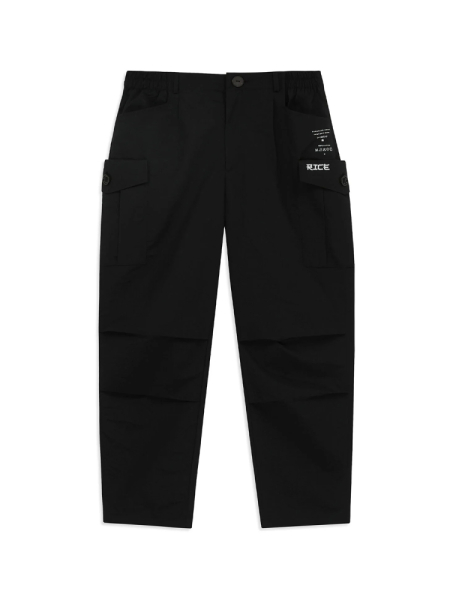 Брюки BASIC NEW CARGO PANTS TASLAN/BLACK