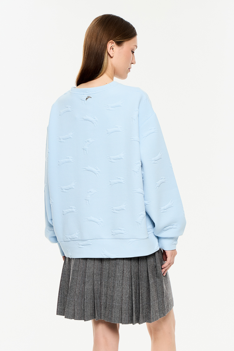 Толстовка DREAMS BY ALENA AKHMADULLINA, цвет: голубой, 225103160404144/711000 купить онлайн