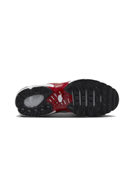 Кроссовки Nike Air Max Terrascape Plus Pure Platinum Gym