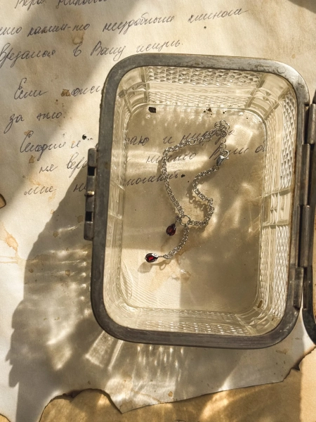 Серебряный браслет на руку «Гранатовый» SBLESKOM, цвет: серебро, 12148 купить онлайн