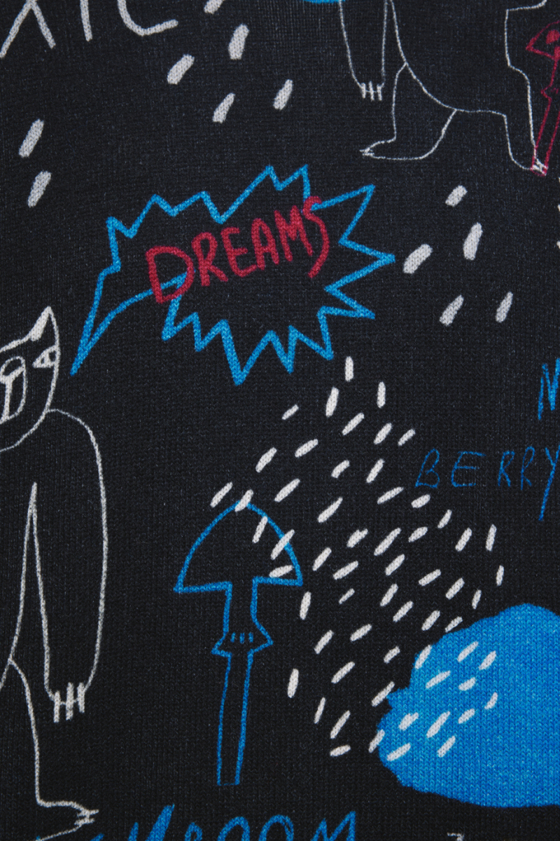 Джемпер с принтом DREAMS BY ALENA AKHMADULLINA, цвет: Черный, 225104140304305/203000 купить онлайн