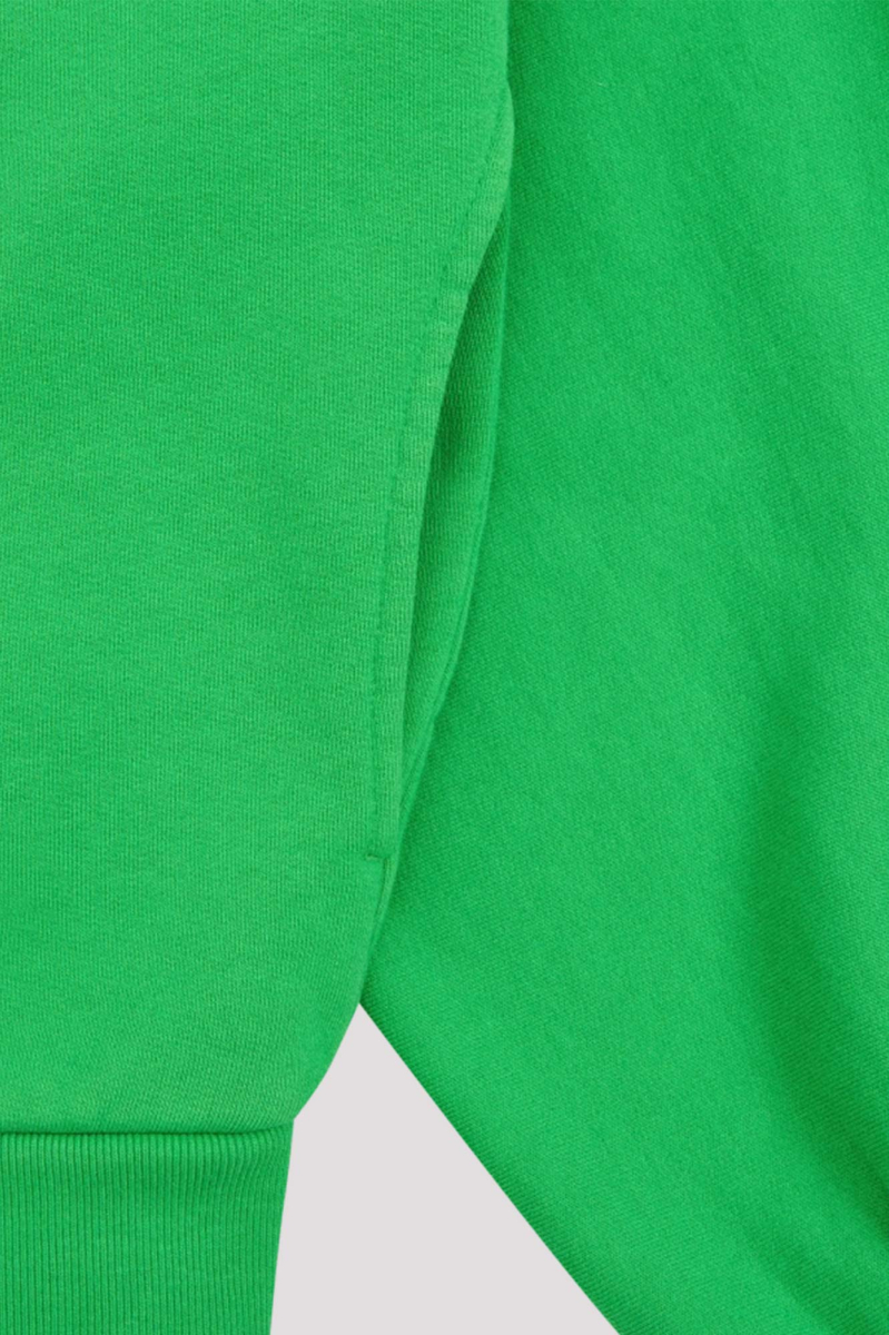Свитшот утепленный с воротником ГОША РУБЧИНСКИЙ, цвет: зеленый, SW_2701_GREEN купить онлайн