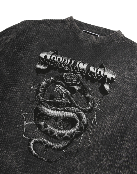 Джемпер BOILED SNAKE SORRY, I’M NOT, цвет: графит, MiwXqUqbhDVsTYT59sLZx0 купить онлайн