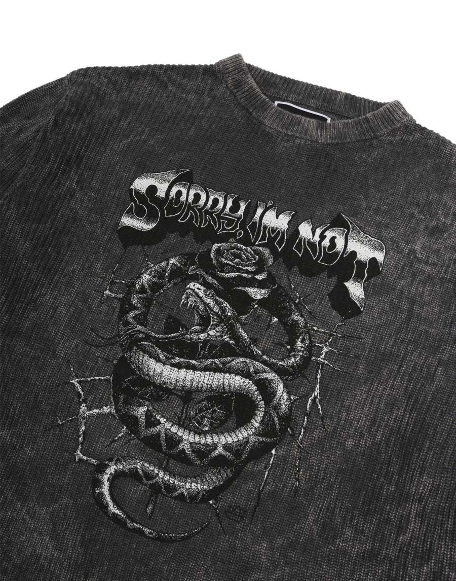 Джемпер BOILED SNAKE SORRY, I’M NOT, цвет: графит, MiwXqUqbhDVsTYT59sLZx0 купить онлайн