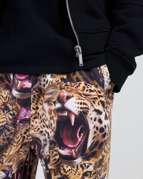 Джоггеры JAGUAR BEIGE ASIA ST 71, цвет: бежевый, Ast71.jogg-jaguar-beige купить онлайн