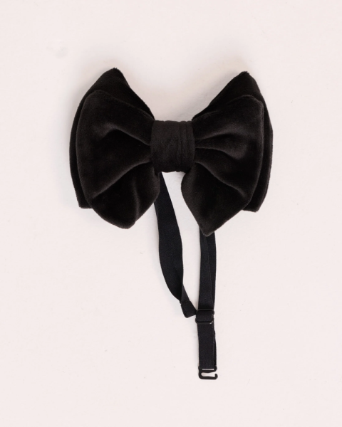 Бабочка из бархата