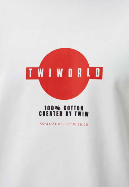 Толстовка Twiworld
