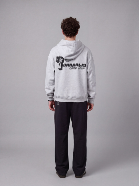 Худи база7 SCANDALIS, цвет: серый, Хбаз002а купить онлайн