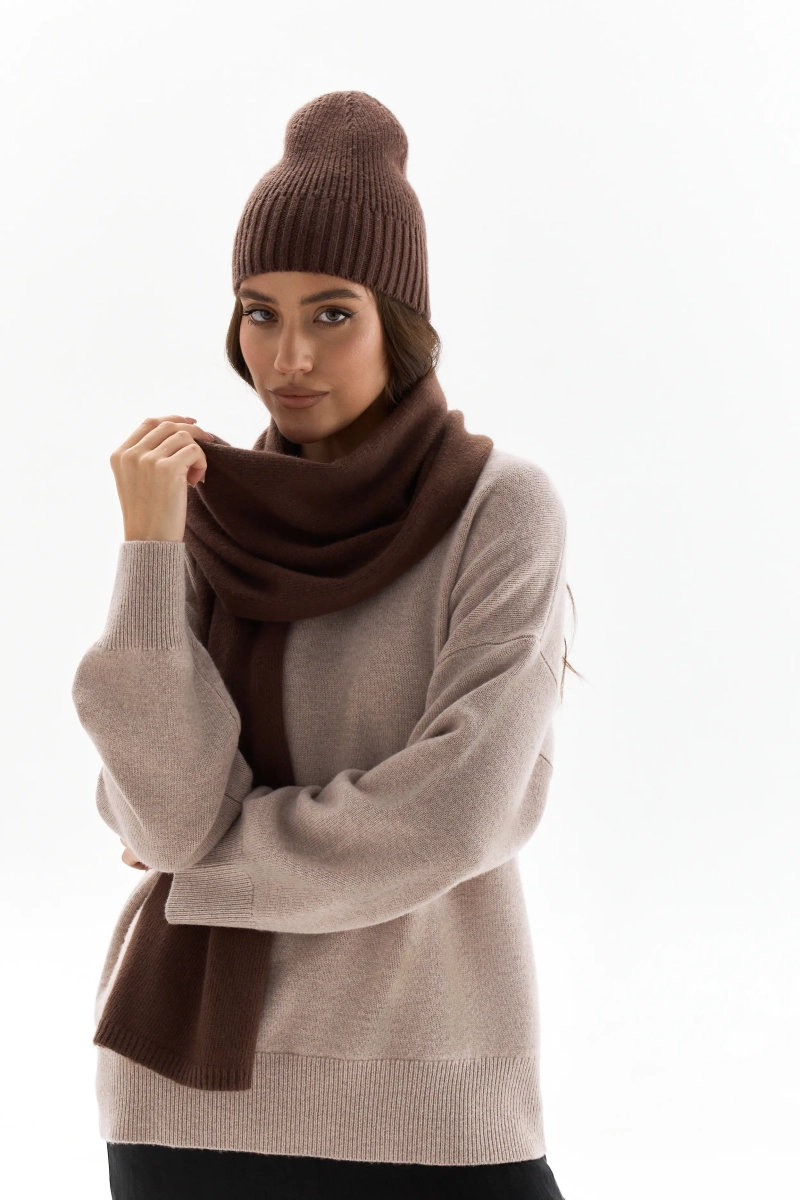 Шапка без отворота базовая Ricoco, цвет: коричневый SH-32/5 купить онлайн