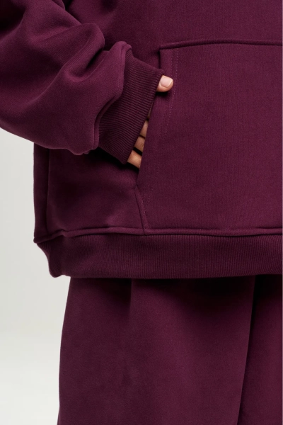 Худи с начесом Plum Erist store, цвет: сливовый, НФ-00003001 купить онлайн