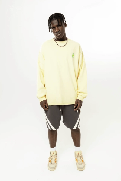 Лонгслив "Longsleeve Lemon" types, цвет: лимонный,  купить онлайн
