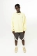 Лонгслив "Longsleeve Lemon" types, цвет: лимонный,  купить онлайн
