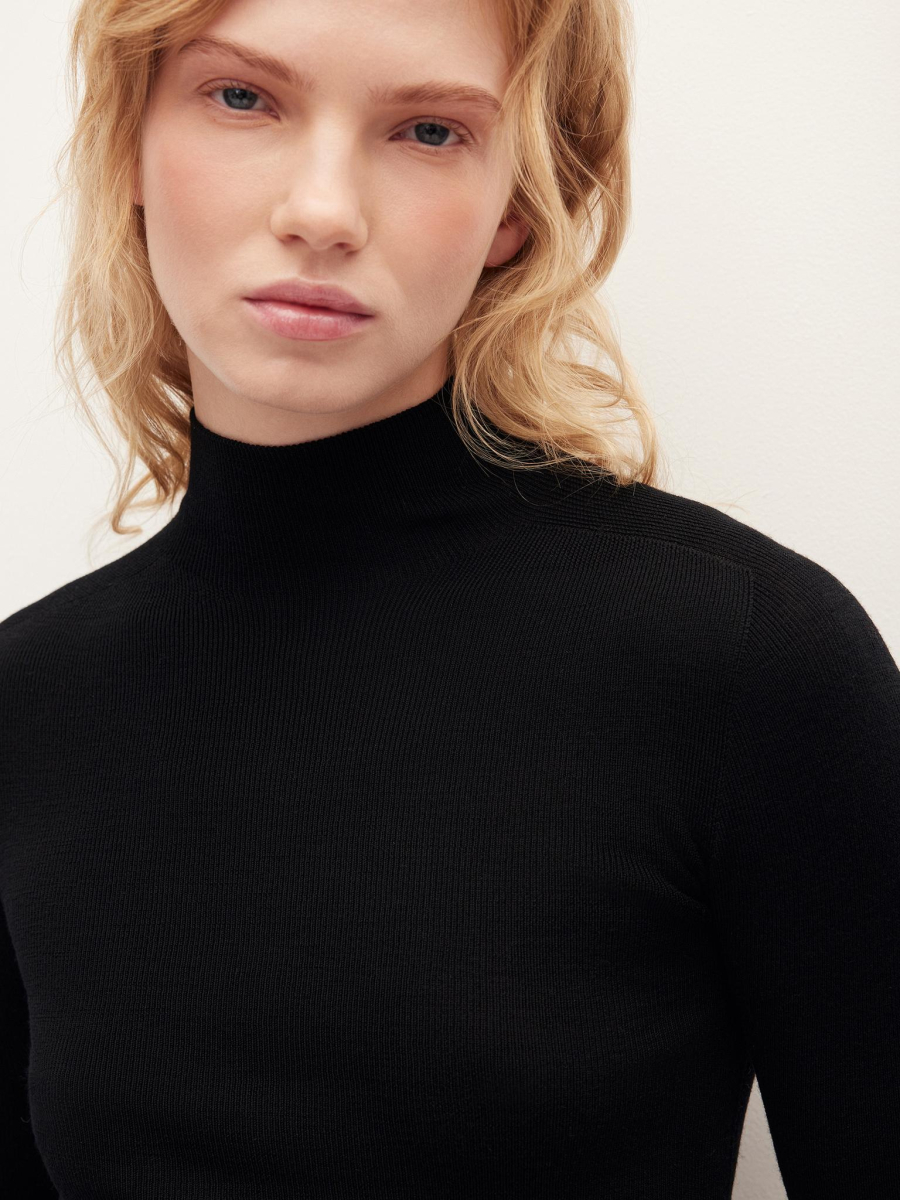Водолазка из шерсти мериноса Chaika, цвет: Черный, AW25KN01-09 купить онлайн