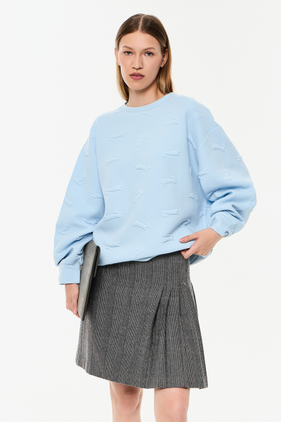 Толстовка DREAMS BY ALENA AKHMADULLINA, цвет: голубой, 225103160404144/711000 купить онлайн