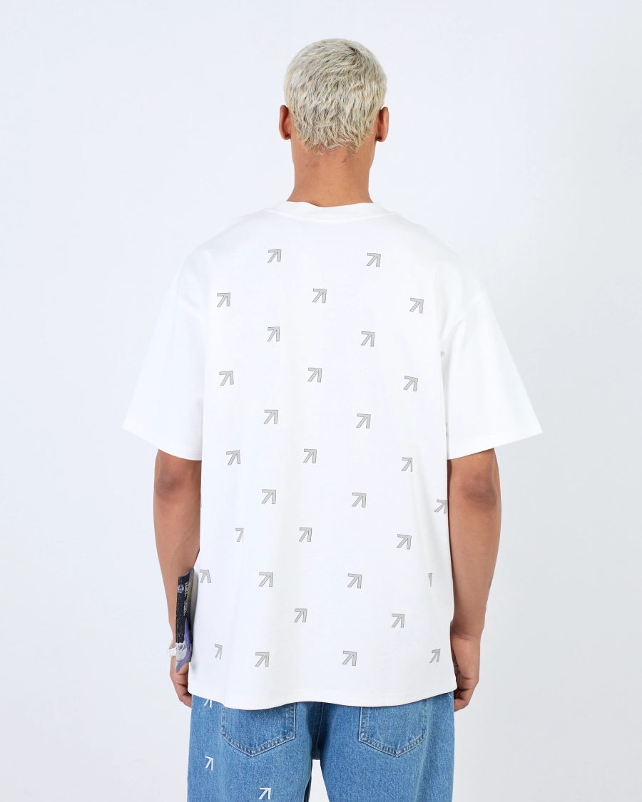 Футболка LUNA FACE WHITE ASIA ST 71, цвет: белый, Ast71.tt-Lunaface-wh купить онлайн