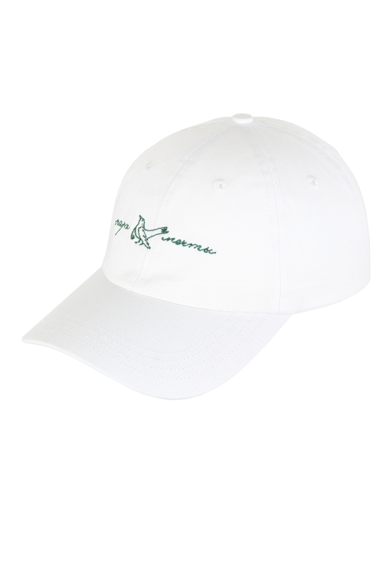 Бейсболка с вышивкой DREAMS BY ALENA AKHMADULLINA, цвет: молочный 125106390203988/413000 купить онлайн