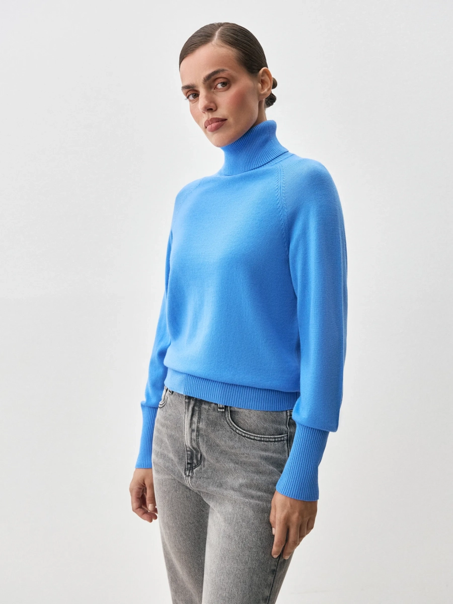 Водолазка FORTE ANNA PEKUN, цвет: голубой, 42.1254.604 купить онлайн