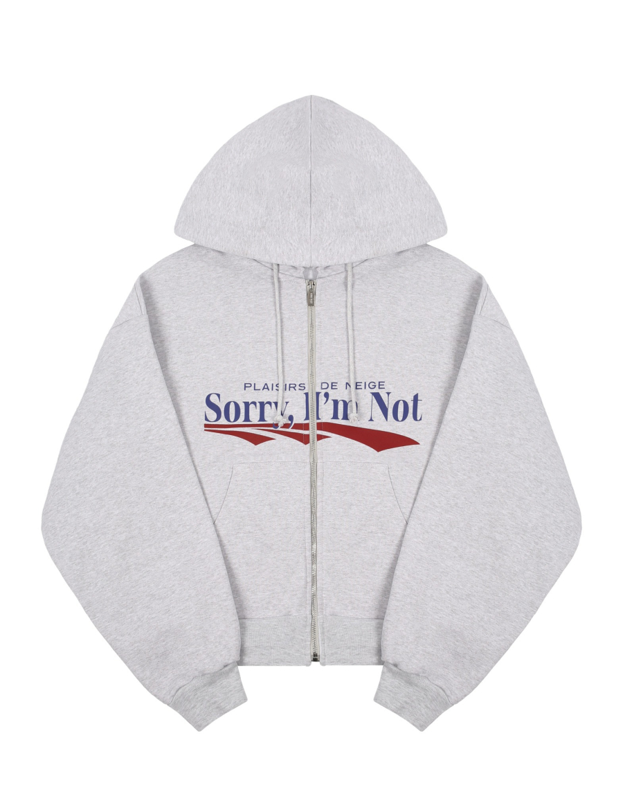 Худи ZIP PLAISIRS DE NEIGE SORRY, I’M NOT, цвет: серый меланж, KrIRIQyaiOtPegNqUpe2k2 купить онлайн