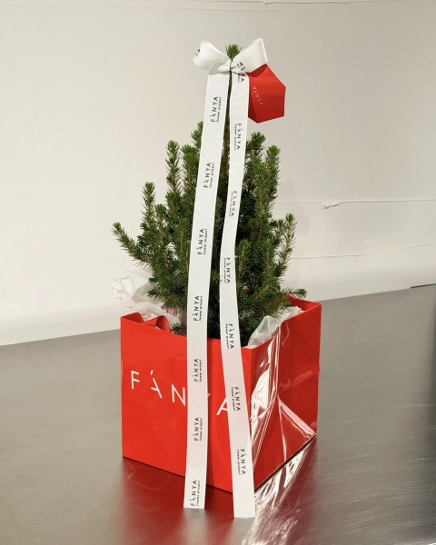 Ель "Коника" в пакете высота от 40 до 50 см