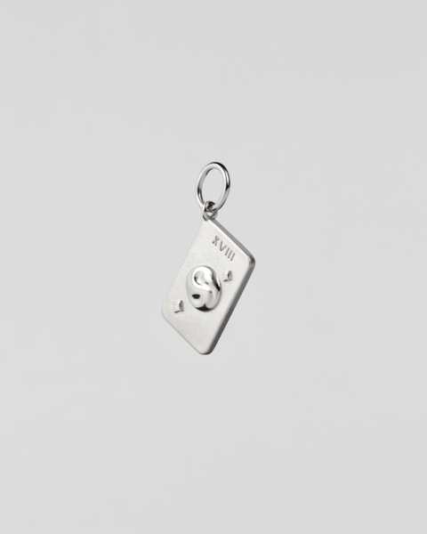 Подвеска-карта “Луна” Darkrain, цвет: серебро, PL1004 купить онлайн