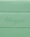 Косметичка для стайлера 021 TÓUSSUN, цвет: зеленый TS020210541 купить онлайн