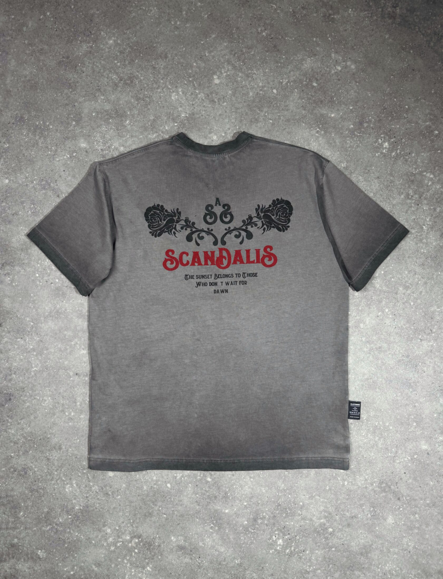 Футболка бархат SCANDALIS, цвет: серый, ФВР035а купить онлайн