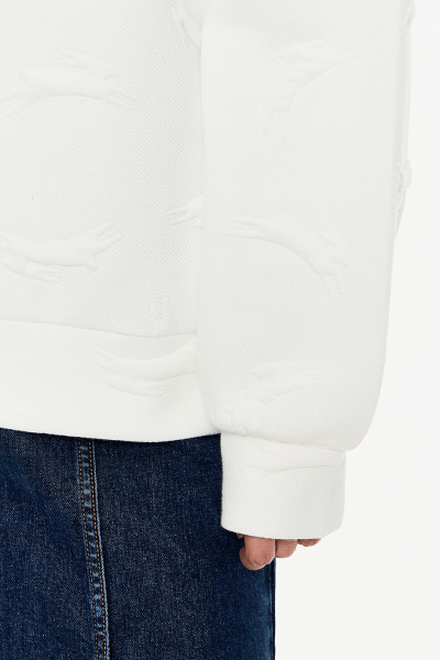 Толстовка DREAMS BY ALENA AKHMADULLINA, цвет: молочный, 225103160404144/713000 купить онлайн