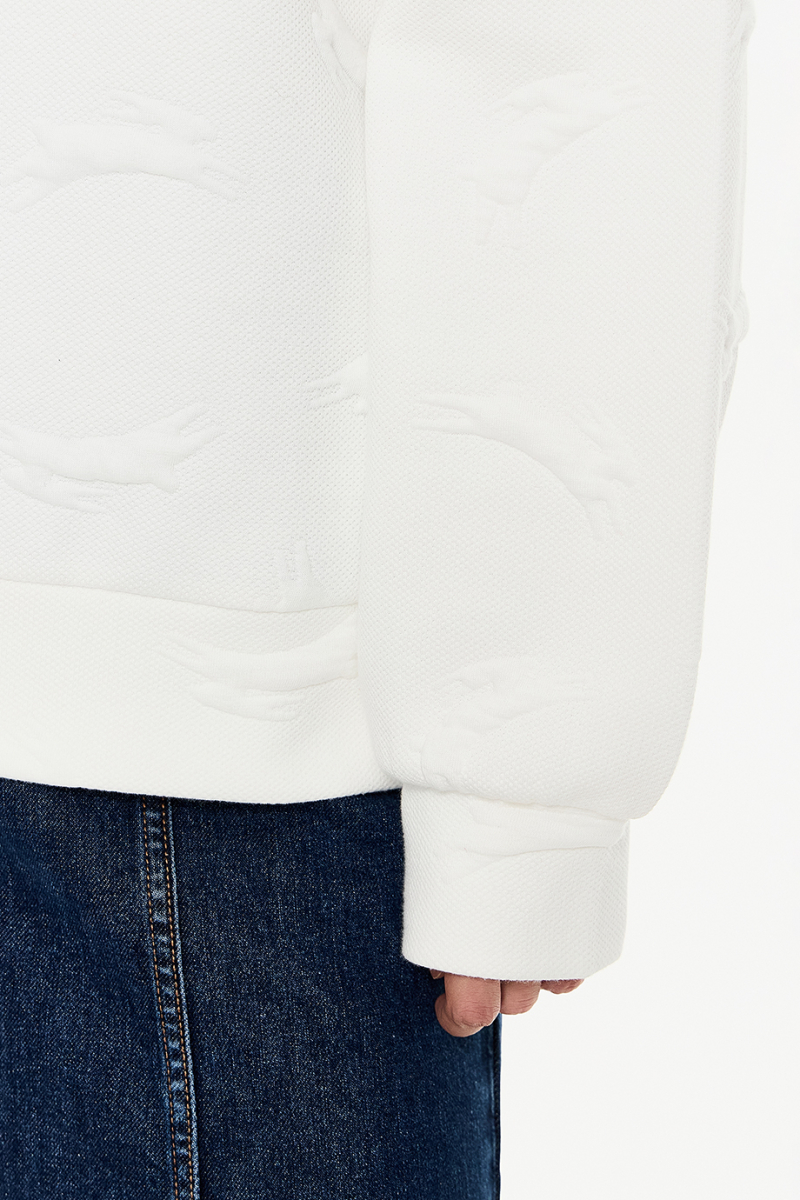 Толстовка DREAMS BY ALENA AKHMADULLINA, цвет: молочный, 225103160404144/713000 купить онлайн