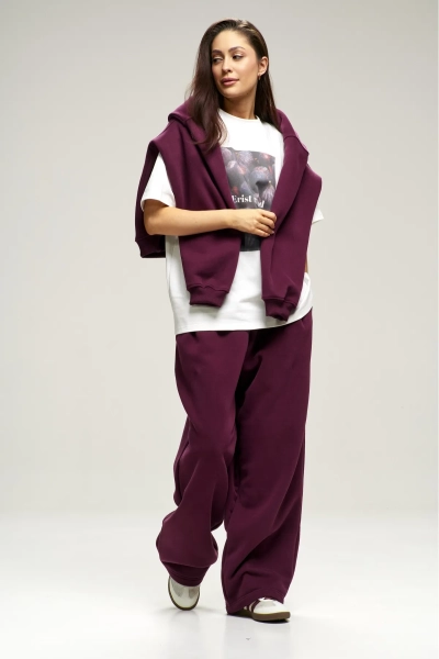 Брюки с начесом Plum Erist store, цвет: сливовый, НФ-00003020 купить онлайн