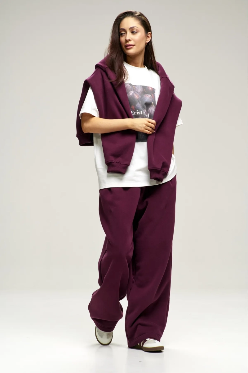 Брюки с начесом Plum Erist store, цвет: сливовый, НФ-00003020 купить онлайн