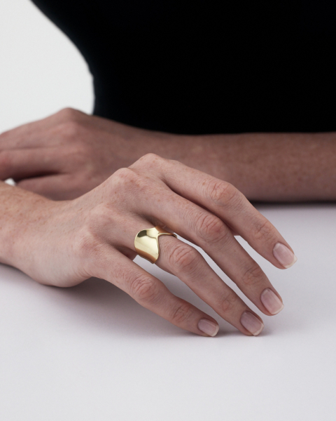 Кольцо-элемент с золотым покрытием Fragment 7 Darkrain, цвет: позолота, LS4024 купить онлайн