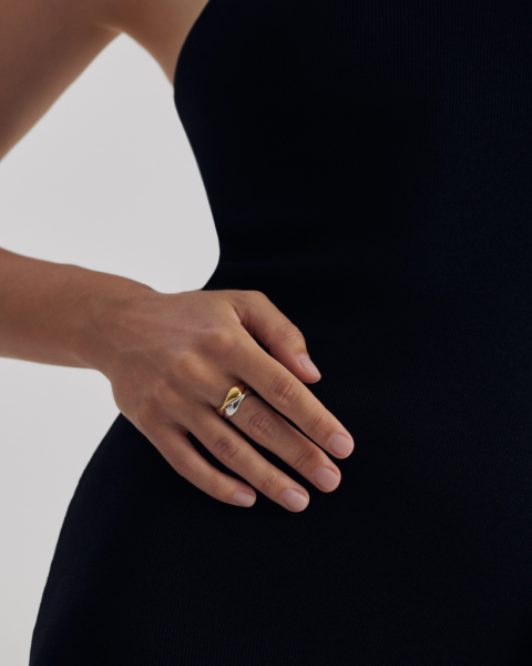 Кольцо Darkrain, цвет: серебро, DR4002 купить онлайн