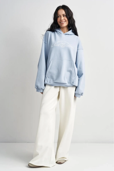 Худи Ледяной голубой Erist store, цвет: голубой, НФ-00003407 купить онлайн